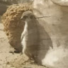 Захар Забоков