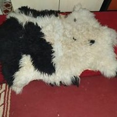 عبدالله الرابطي