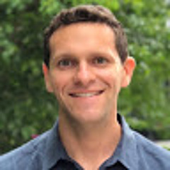Andy Stein