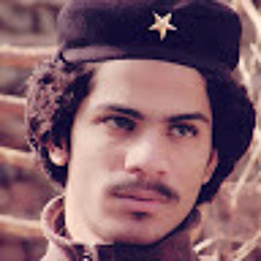 BILAL BROHI