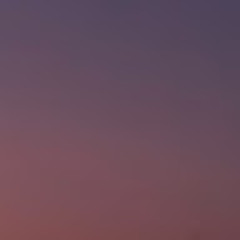 FDFDシ