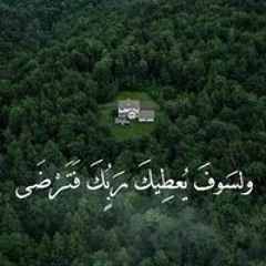 مصطفي ابوسيف