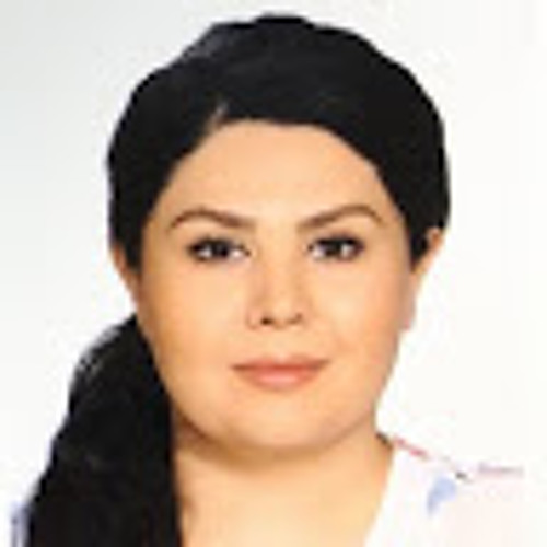 Mahsa Saeidaskestan’s avatar