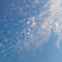 User 731007105