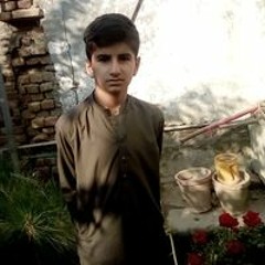 Syed Saqib Bacha