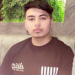 Hussain Shakeel