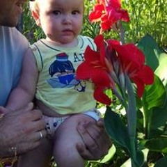 Lenoir Pereira da Silva