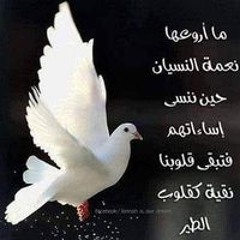 أم الزهراء
