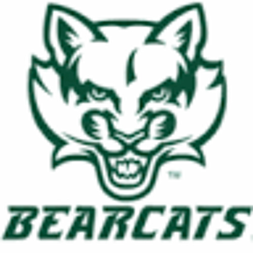 bigcat bearcat’s avatar
