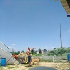 User 790121228