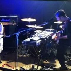 fakeworld wonderland