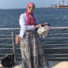 mariam elbanna