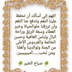 tarekfathy68