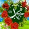 Mona Ahmed