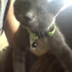 yooooooooooooooooooo