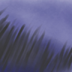 Night Spyre
