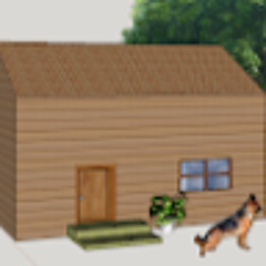 Borna Nabipourkalkenari