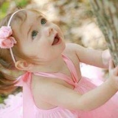 زهرة البنفسج