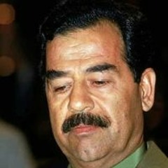 Ahmed Halfa