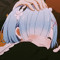 Thetodol.-