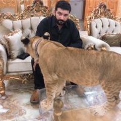 Syed Muzahir Shah