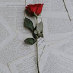 Mahnoor Asif