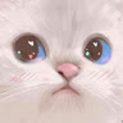 ùudjd