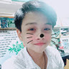 Kenzzisugar