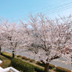 イマムーショウ