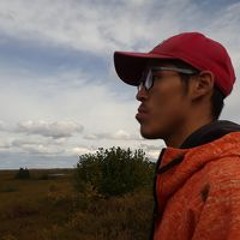 Travo