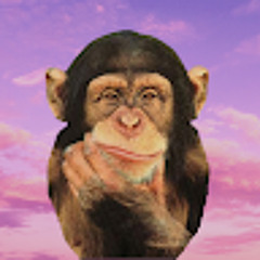 Everything Summarised