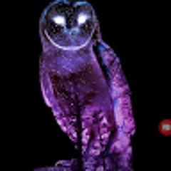 NightowlX