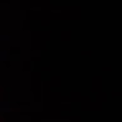 Paul Christian Bergerud