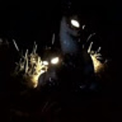 Brandon Wright Music