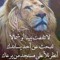 عمر بو حسونه