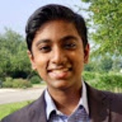 Lions led by donkeys