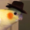 elan Nnn