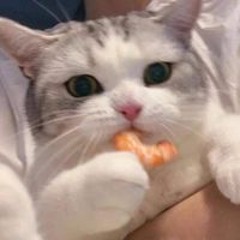 Nguyễn Võ Thanh Phong