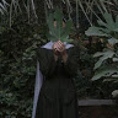 sara alwardi