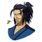 Brawlhalla Player