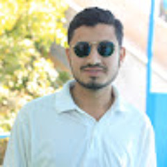 FAISAL RAJ
