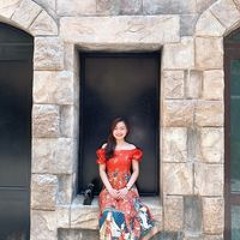 Tuyết