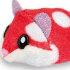 Red hamster TV
