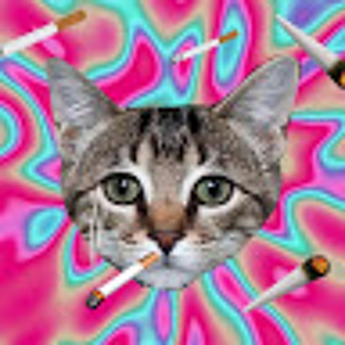 elgatofumado gato’s avatar