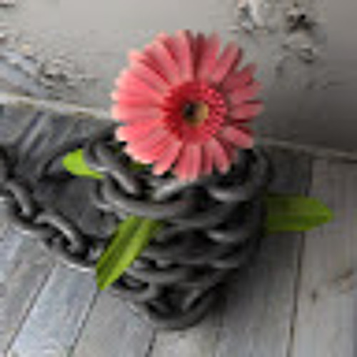 Hayedeh Aalame Yek Rangy Edited (1)