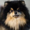 Jeon Yeontan