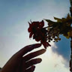 Kinza Shahid