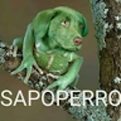 Jhon Carlos A.S.G.P.