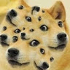 Floppy Seal