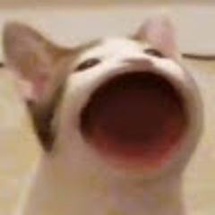 DTPoke!